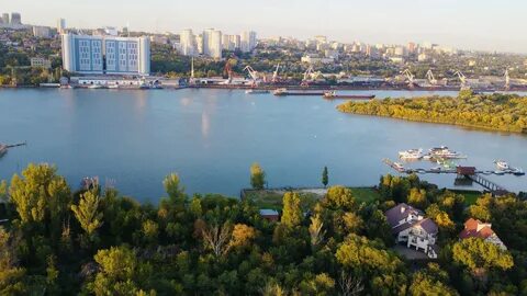 Цветы дона береговая