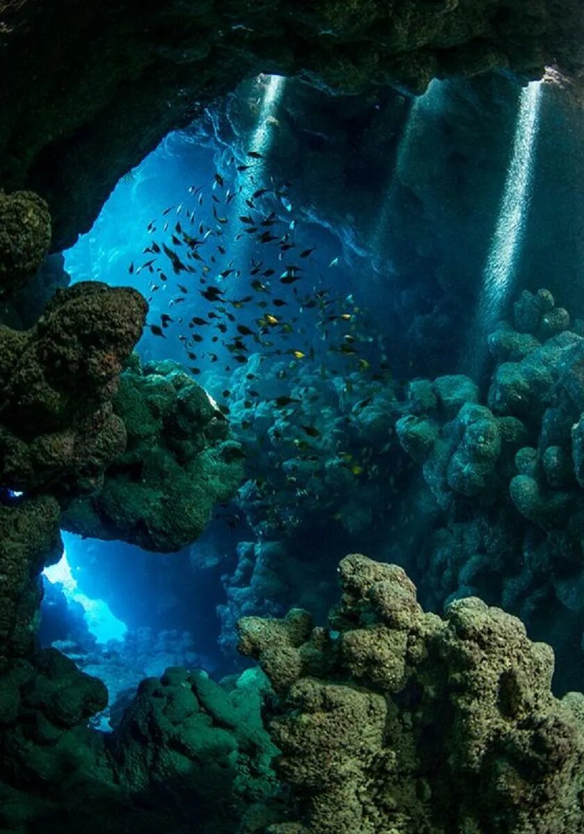 Мир подводной глубине. Рифы в океане. Сталактиты пещера рифы. Голубая дыра (красное море). Подводные пейзажи.