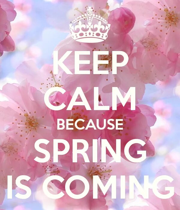 Keep Calm Spring. Keep Calm Spring is coming. Keep Calm картинки.