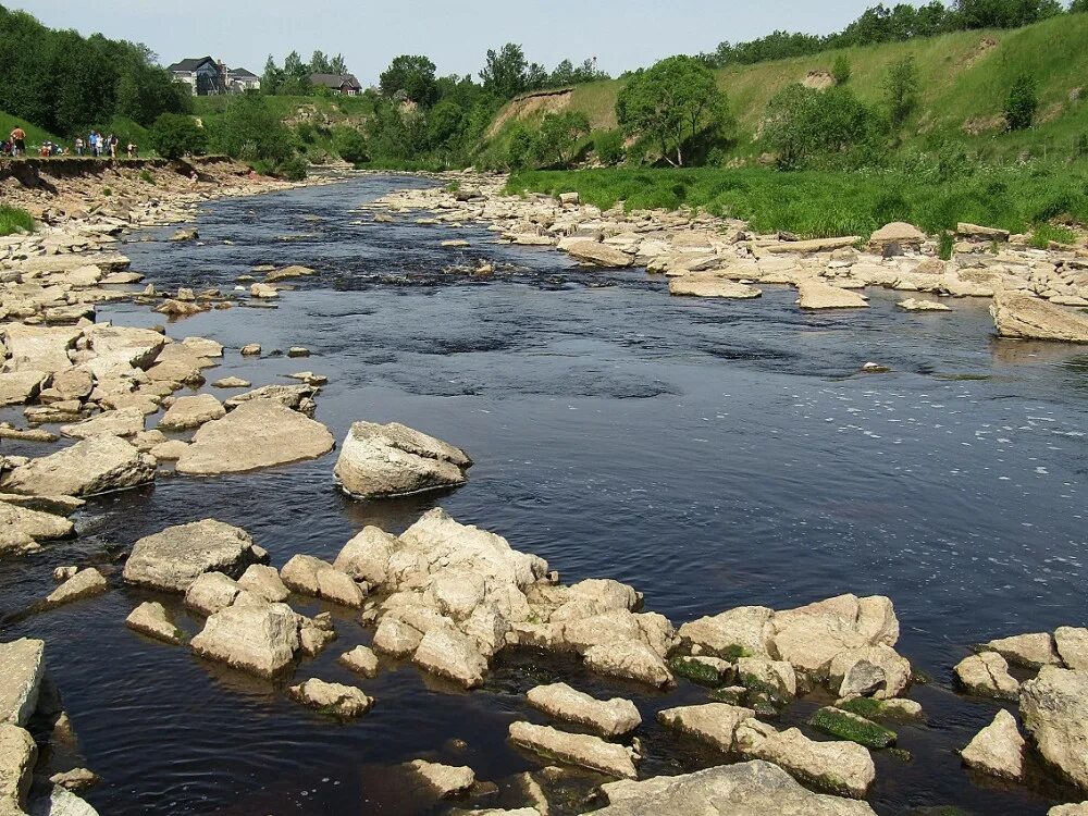 Река тосна. Лустовка (река). Исток реки Тосна. Тосно речка.