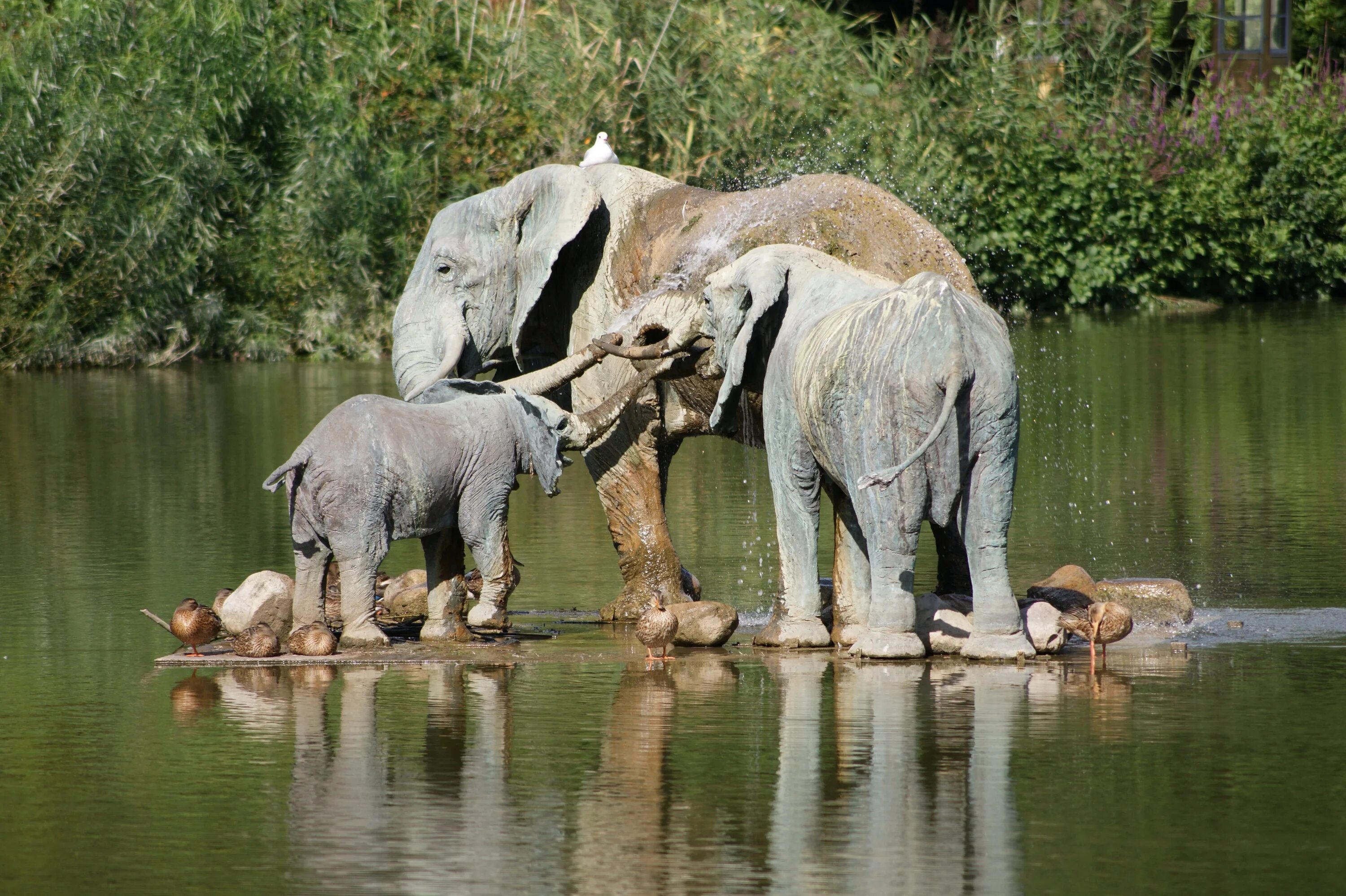 Elephant river. Слон река. Скульптура слоны. Слоны в речке. Слоны из скульптуры на природе.