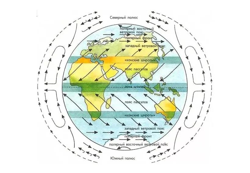 схема общей циркуляции атмосферы на земле. постоянные ветры земли. западные ветры господствуют. пассат ветер. западные ветры господствуют.