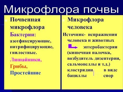 Микрофлора отзывы