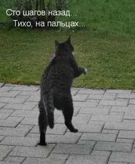 Тихо без мата
