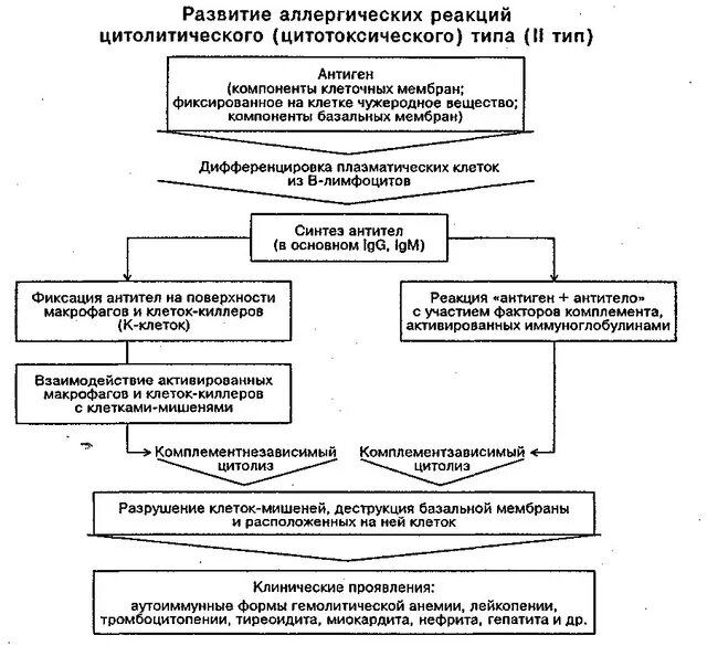 Схема развития клеточно опосредованной аллергической реакции Аллергические реакции замедленного типа инициируются клеточно опосредованными