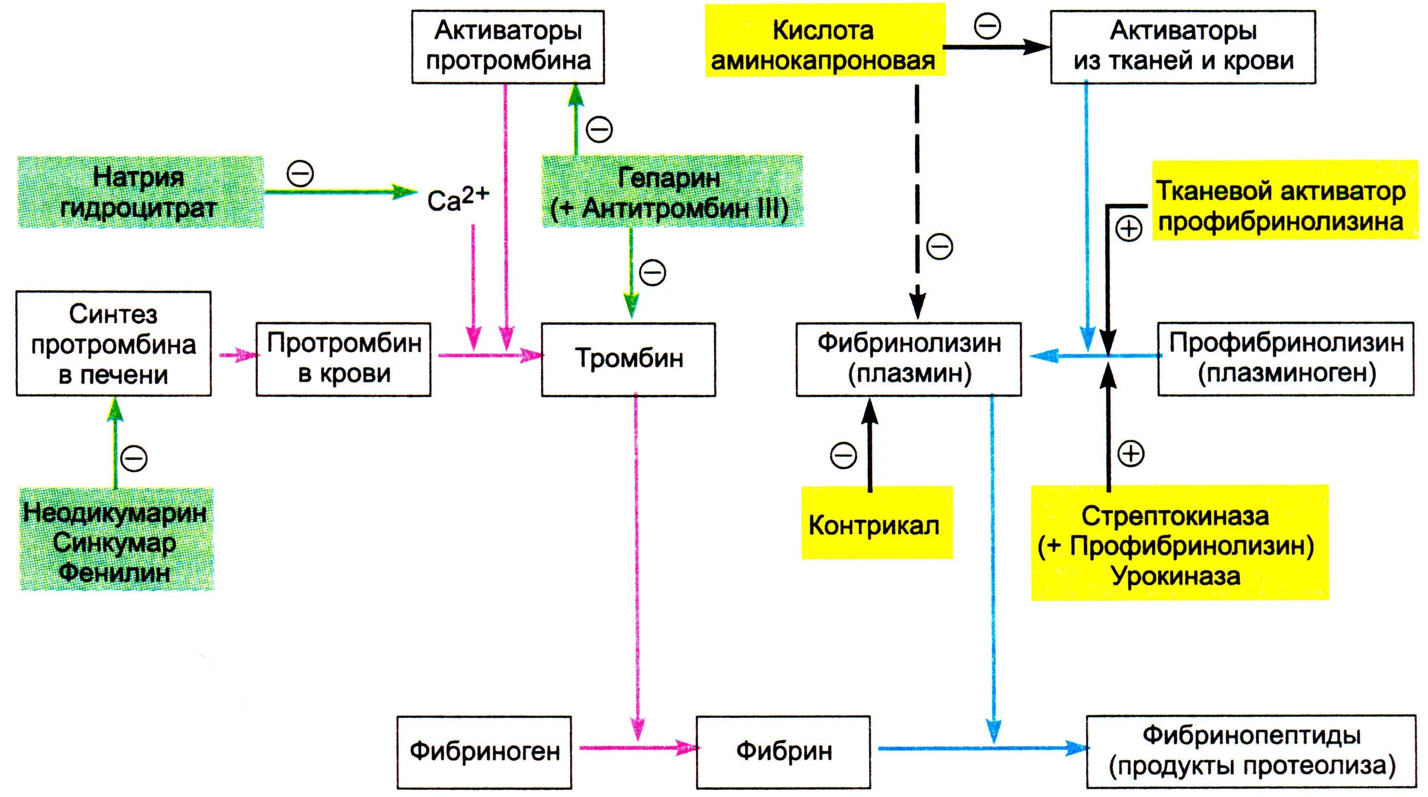 Свертывающая система крови схема. Схема механизма действия препаратов влияющих на фибринолиз. Схема свертывания крови образование сгустка. Средства влияющие на свертывание крови препараты. Ингибиторы свертывания крови