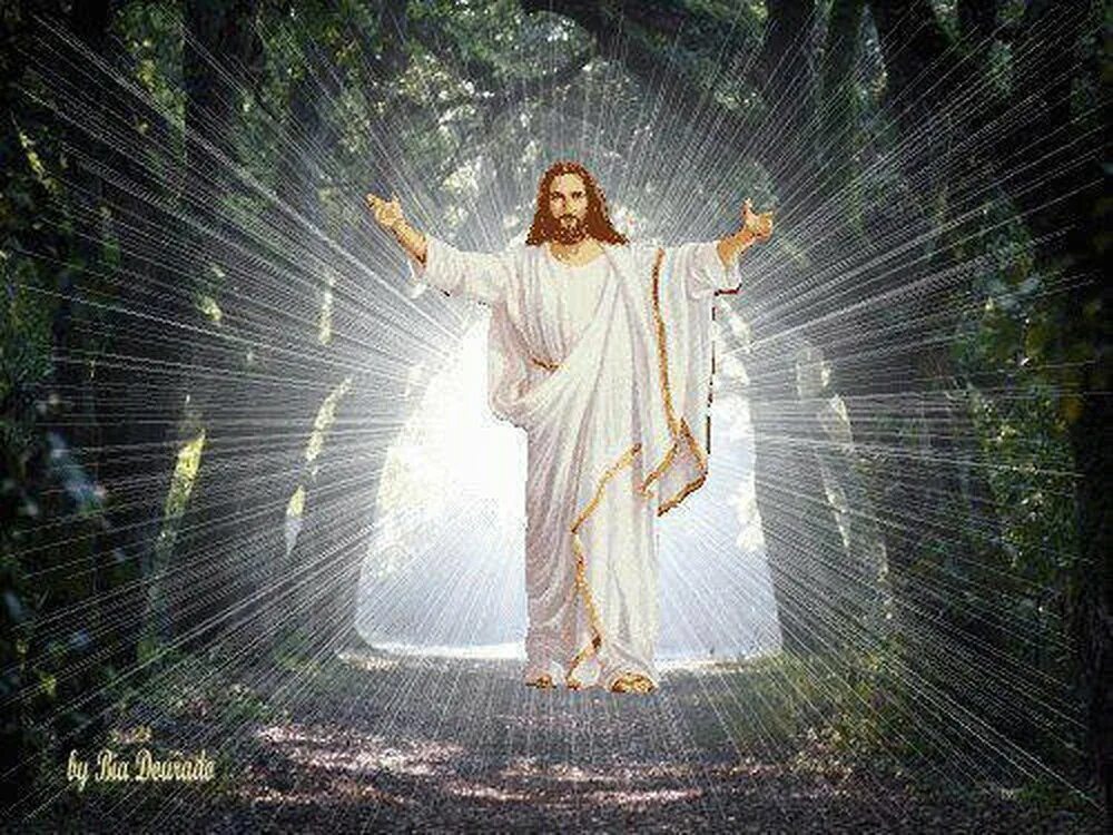 Господь. Иисус воскрес. Образ Бога. Бог Иисус Христос.