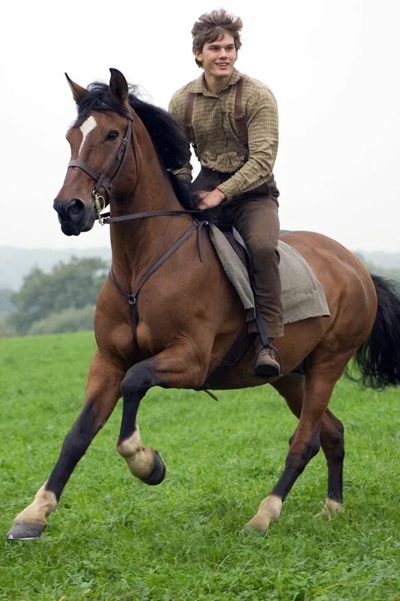 Всадник на коне. Лошади конный спорт эстетика. Ведет лошадь. Женщина и конь. Лошади конкур.
