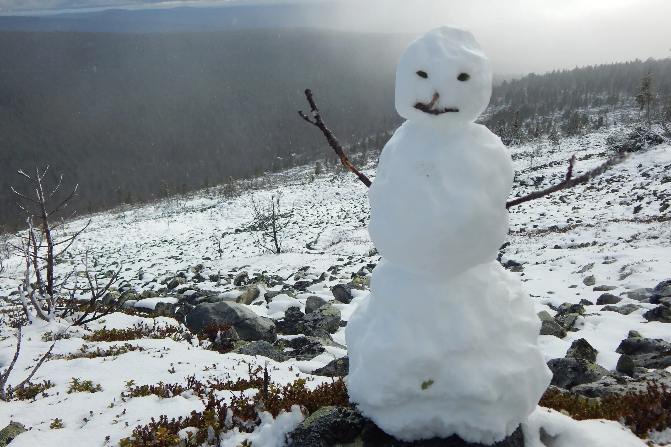 Кустарники зимой. Дрон нерюнгри. Петрозаводск снег. Мокрый снеговик. Где где зимой видео.