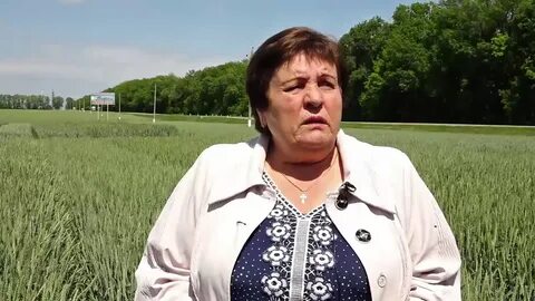 Погода в поселке областной сельскохозяйственной опытной станции