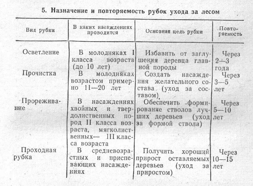 Проект ухода за лесами