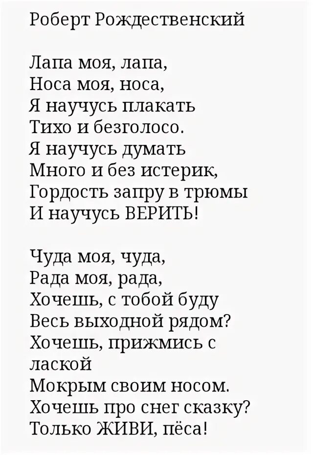 Носа носа текст русскими буквами. Носа слова песни. Нос к носу. Носа носа таблетки. Носа моя носа лапа моя лапа стих.