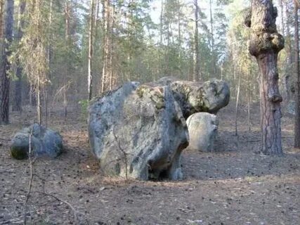 Скрипинские кучуры ульяновская