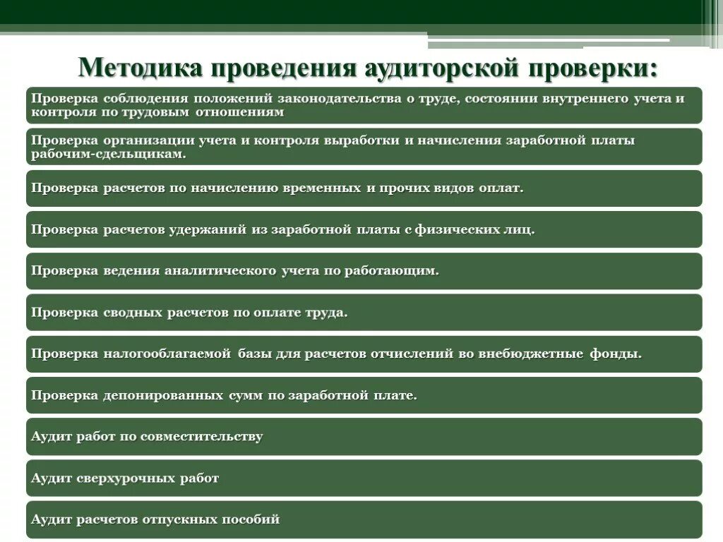 Записи аудита. Методы проведения аудита. Методика проведения аудиторских проверок. Методы проведения аудиторской проверки. Задачи аудита заработной платы.