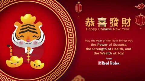 Cny mt