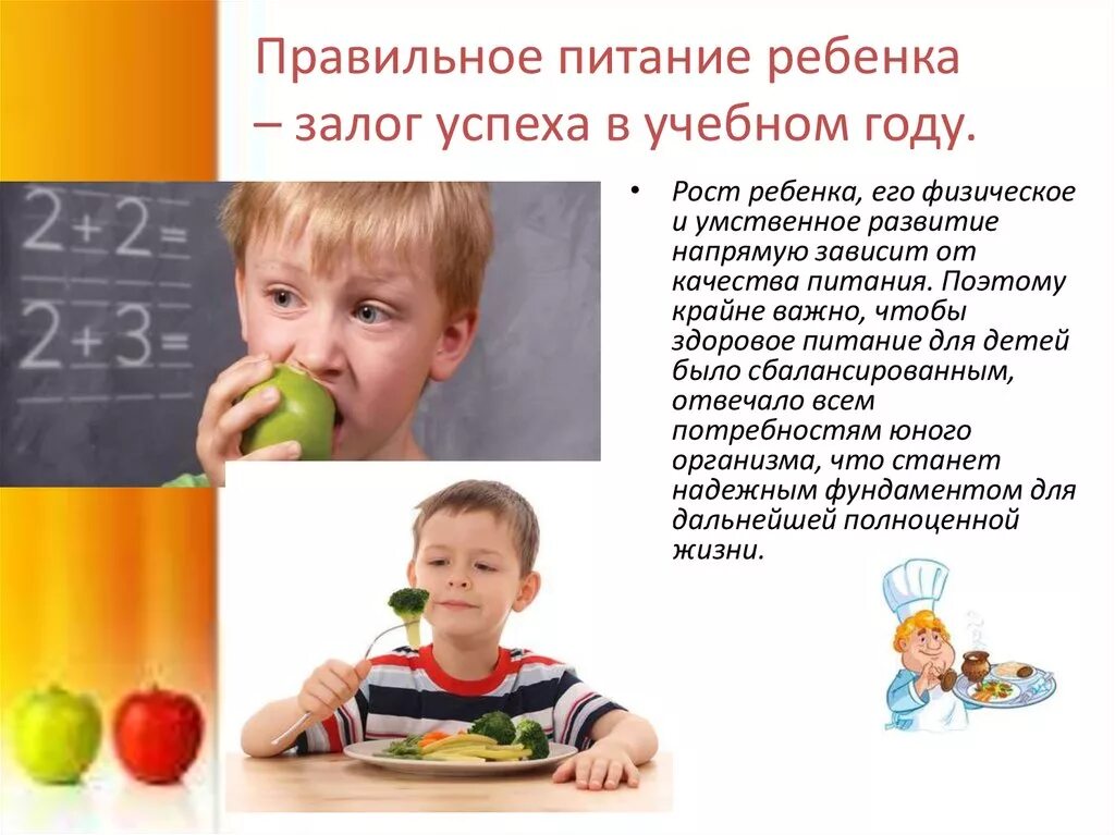 Форум питание детей. Правильное питание для детей. Здоровое питание для детей школьного возраста. Правильное питание залог успеха. Правильное питание для дошкольников.