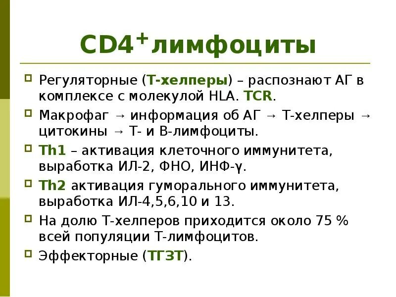 Функции сд4 т лимфоцитов. Cd4 лимфоциты норма. Cd8 т лимфоциты. Cd4 т-хелперы. Регуляторные т лимфоциты