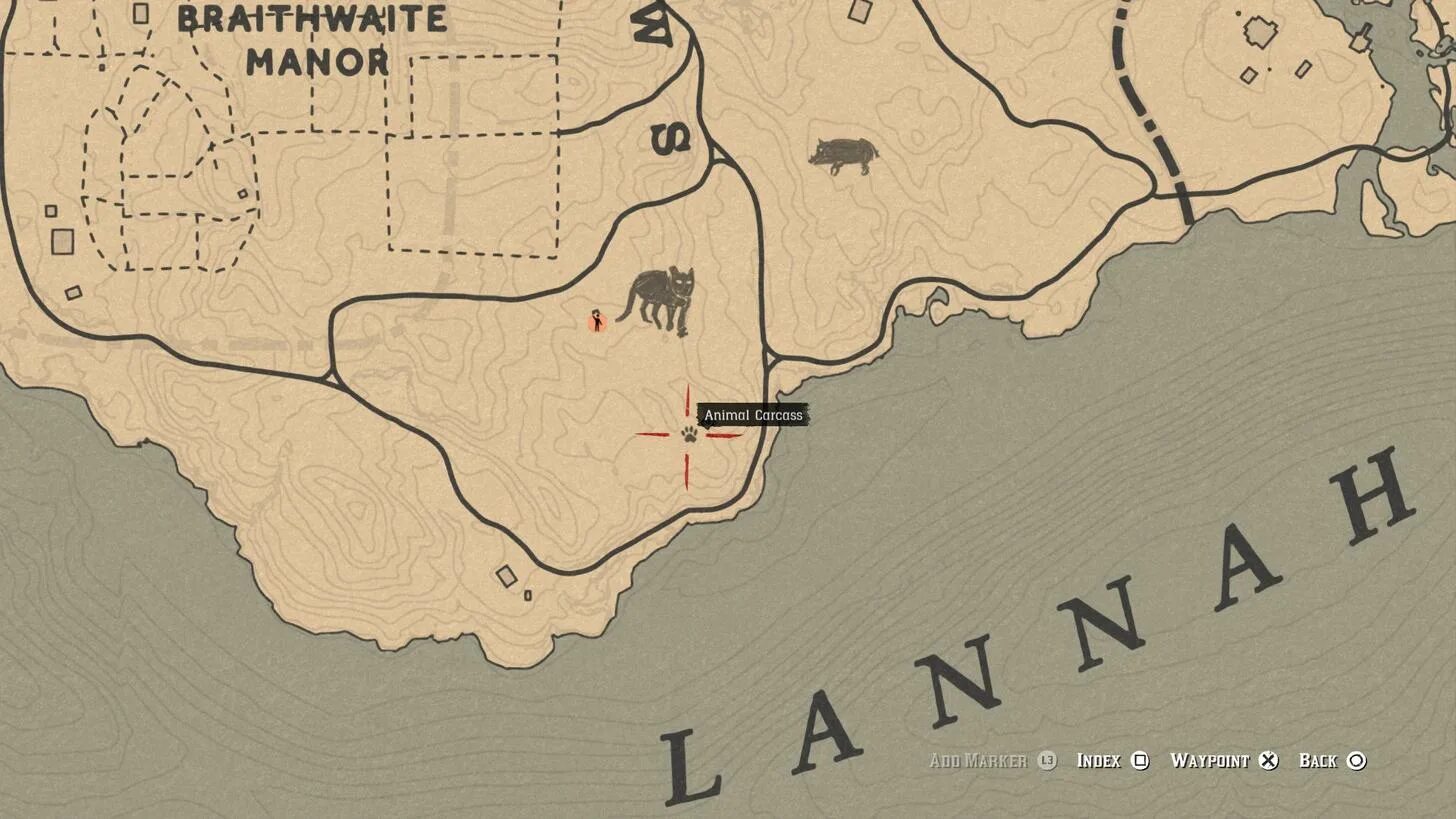 Превосходная пантера рдр 2. Red dead redemption 2 пантера на карте. дом джексона rdr 2 на карте. пантера рдр 2. red dead redemption дом джексона.
