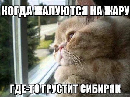 Когда уже будет теплее