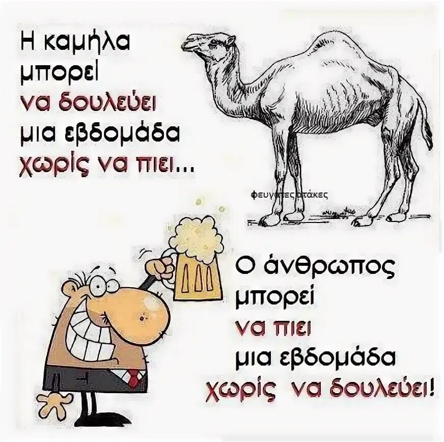Сколько верблюдов ты стоишь. Слон в зоопарке съедает за день. На что похожа буква в горб верблюда. Сколько верблюдов я стою. Во сколько верблюдов оценивается твоя девушка.