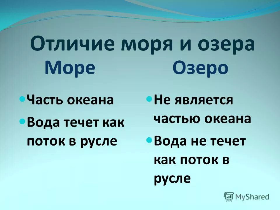 Почему пруд отличается от озера
