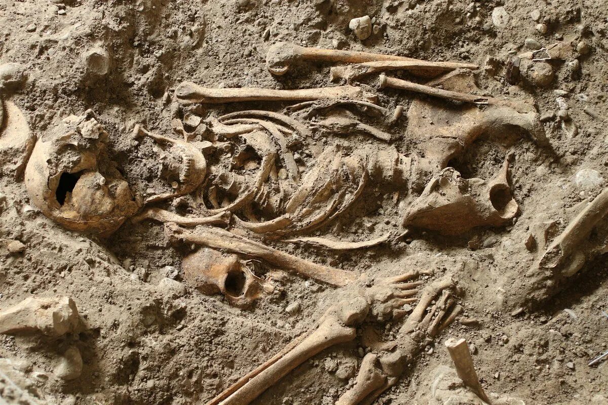 Средневековый могильник. Массовые захоронения средневековье. Old bone