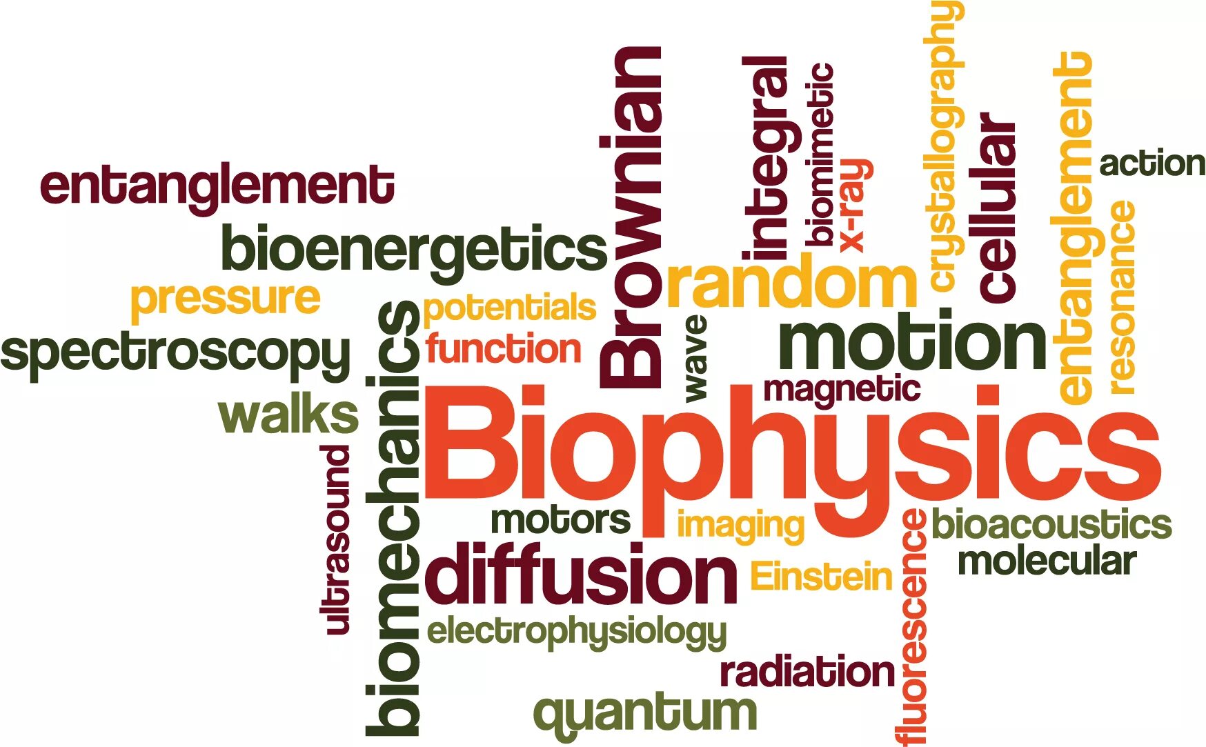 Биофизика биохимия. Biophysics. Биофизика логотип. Биохимия биофизика. Биофизика примеры.