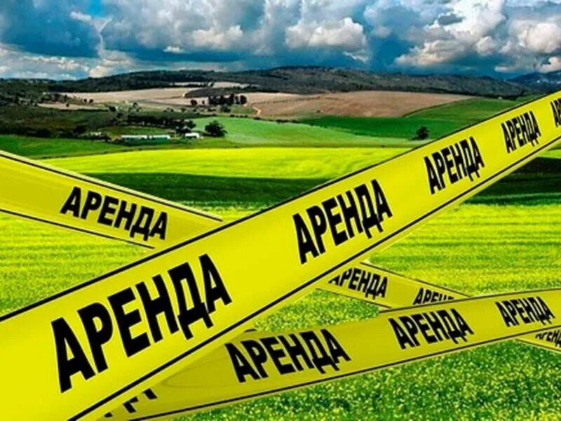Аренда земельного участка под. Аренда земельных участков. аренда земли. аренда земельного участка картинки. аренда земли картинки.