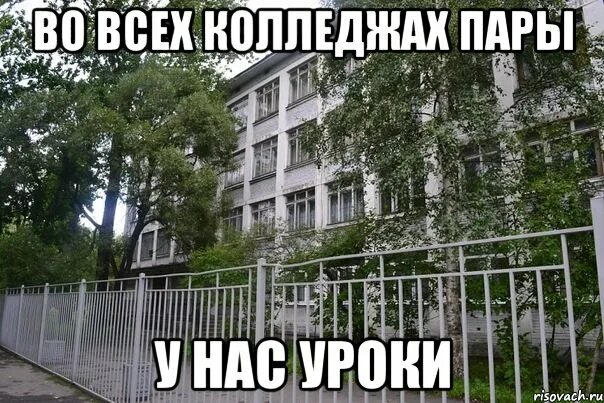 Сайт некрасовского колледжа