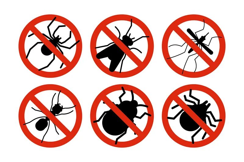Content warning bugs