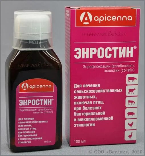 Энростин для цыплят. Ветеринарный препарат энростин. Энростин 100мл. Энростин оральный, 10мл. Энростин or фл 100 мл.