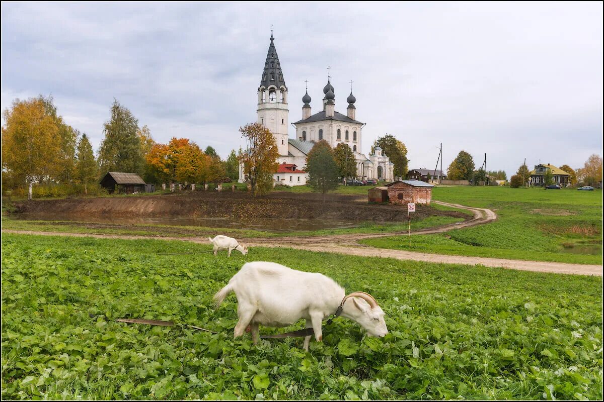 Село красное Ивановская область Церковь. Село красное Палехский район. Свято-Знаменский храм в селе красное. Палехский район Ивановской области. Сфр ивановская область