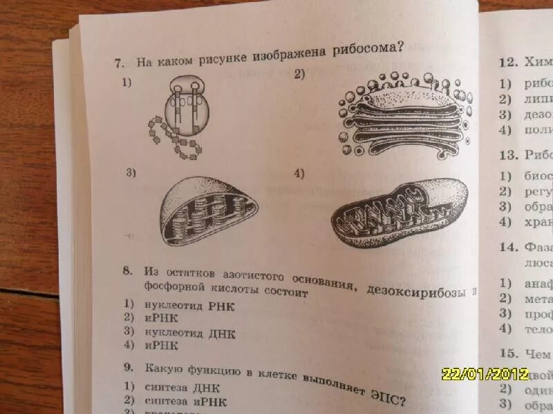 ЕГЭ по биологии задания. Вопросы по биологии ЕГЭ. Тесты по биологии ЕГЭ. Вопросы ЕГЭ биология.