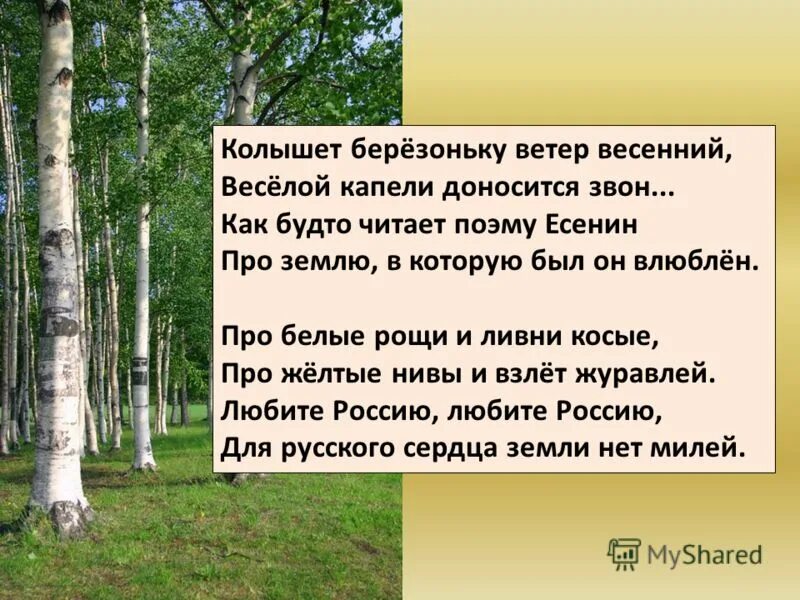 колышет березоньки ветер весенний текст. колышет ветер квалифицированные лекторы. открытка с сильным ветром. колышет ветер квалифицированные лекторы. ветер gif на прозрачном фоне.