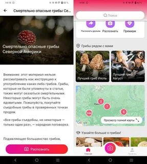 Приложение распознающее грибы