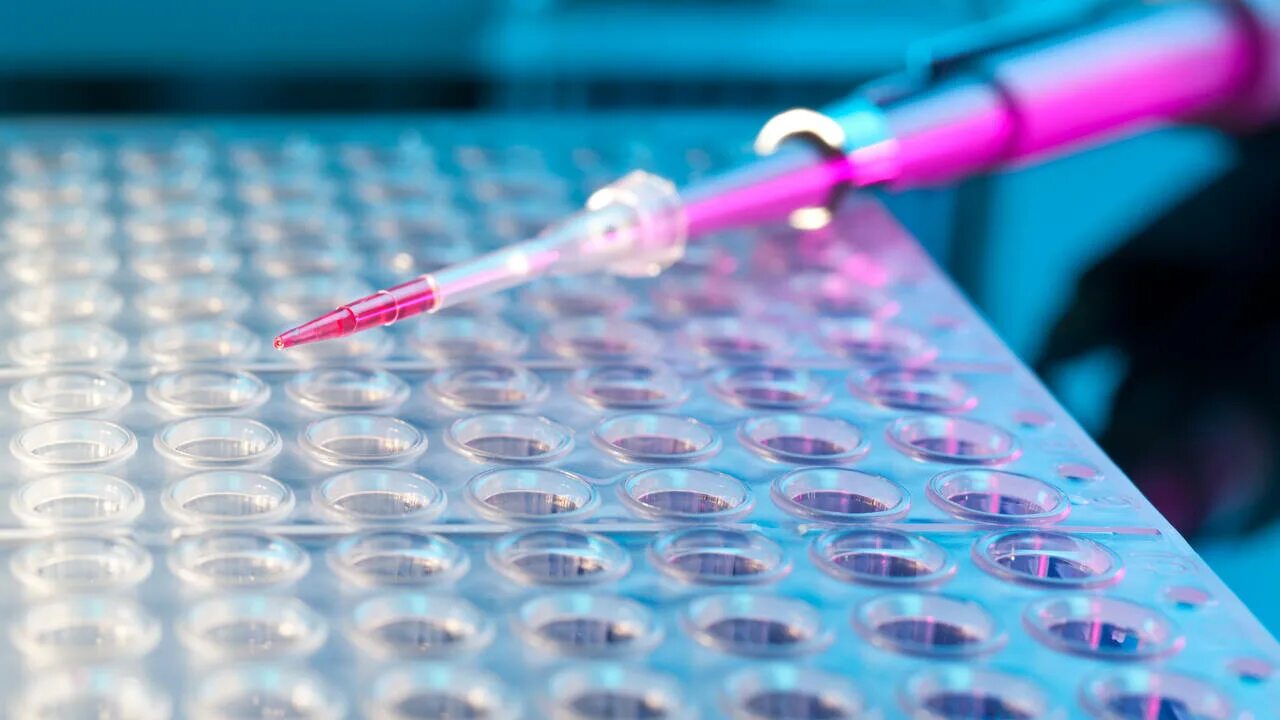 пцр геномика. мужчина сделал днк. сверхчеловек. днк тест. мужчина сделал днк.