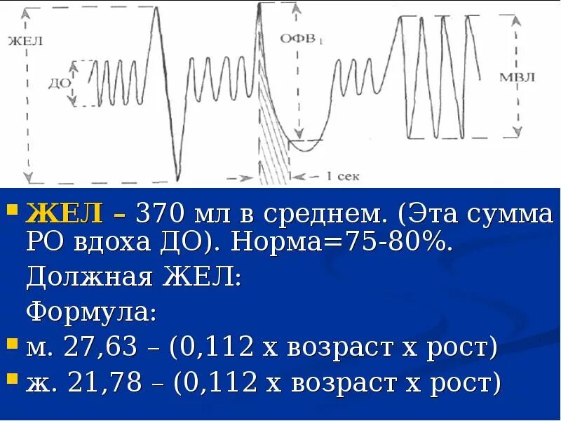 Объем легких в процентах. Формула для расчета должной жизненной емкости легких. Жизненная емкость легких жел это. Жизненный объём лёгких. Жизненная емкость легких норма.