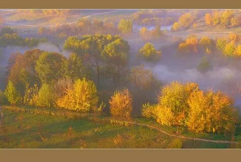 Осень прозрачное утро небо как будто