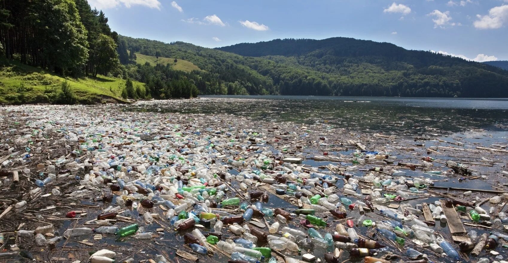 Загрязнение водохранилища. Река Читарум. Загрязнение водоемов. Загрязнение природы человеком. Человек загрязняет природу.