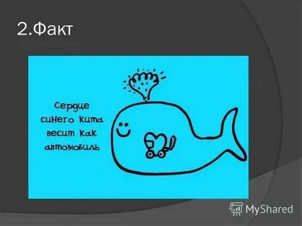 Факт 2 письмо