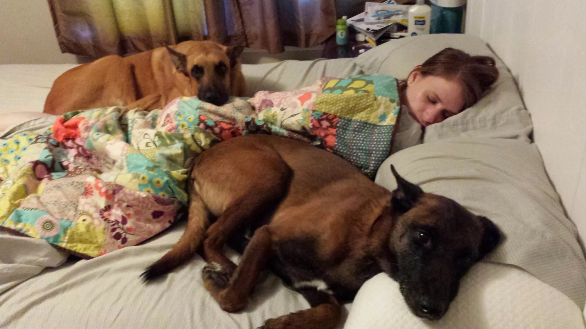 Собаки спят в обнимку. Животные с хозяевами. Сон с собакой в обнимку.