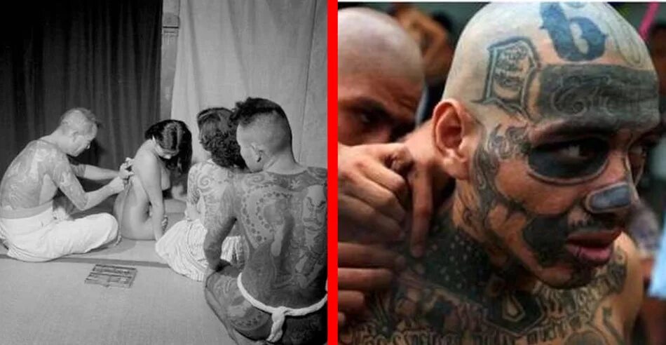 Pin on Empowering A Felon