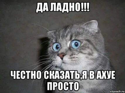 Ну ладно я тебе говорю