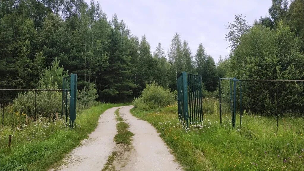 Деревня егорьевское