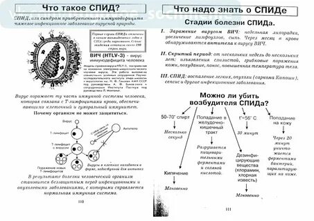 Биология человека в таблицах