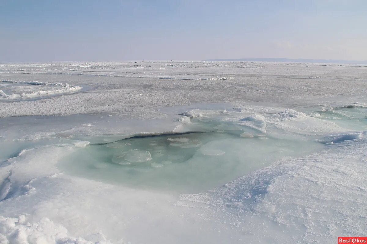 Икона морей круизный лайнер. Самый большой круизный лайнер в мире 2022. Азовское море в январе. Сочи пальмы адлер. Море январь 2024.