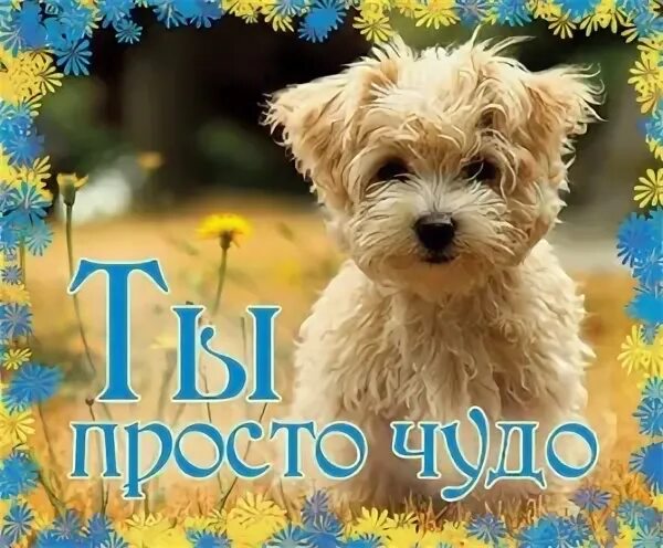 Ты просто чудо. Открытка "чудо - это ты". Это просто чудо. Такое чудо просто жить дышать и ждать что будет дальше. Торт как чудо книга.