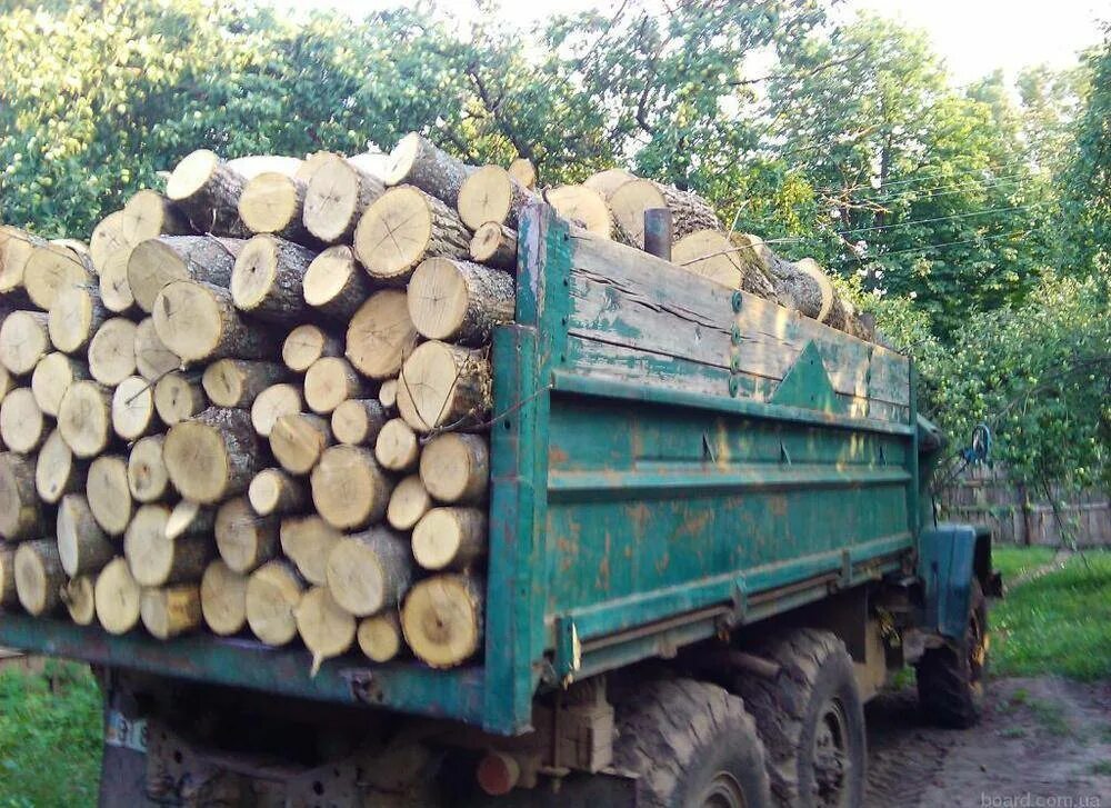 Дрова дуб береза. Дрова дуб. 1 куб дров. 3 куба дров. Чурка дрова.