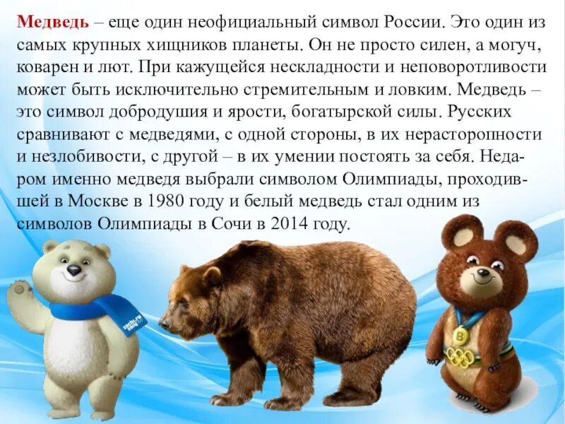 Бурый медведь символ России. Медведи Синвел России?. Неофициальные символы России медведь. Медведь символ России России. Какой зверь является национальным символом