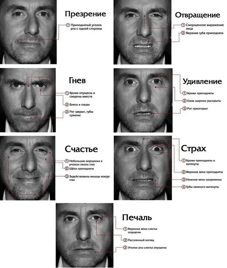 Фразы удивления. Пол Экман базовые эмоции. Пола Экмана психология лжи Обмани меня если сможешь. Мимика эмоций пол Экман. Пол Экман 7 базовых эмоций Обмани меня.